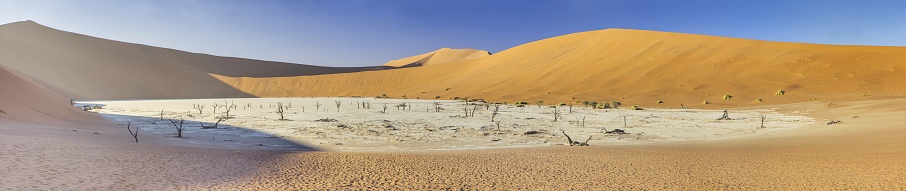 Panoramic view from the Big Daddy Dune in Sussusvlei onto the salt pan of Deathvlei with surrounding red dunes in the morning in summer