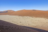 Panoramic view from the Big Daddy Dune in Sussusvlei onto the salt pan of Deathvlei with surrounding red dunes in the morning