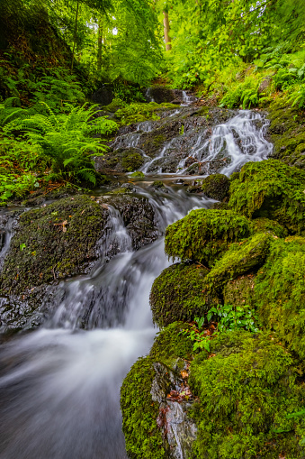 Waterfall flowing through moss covered rocks and green foliage in the English Lake District.