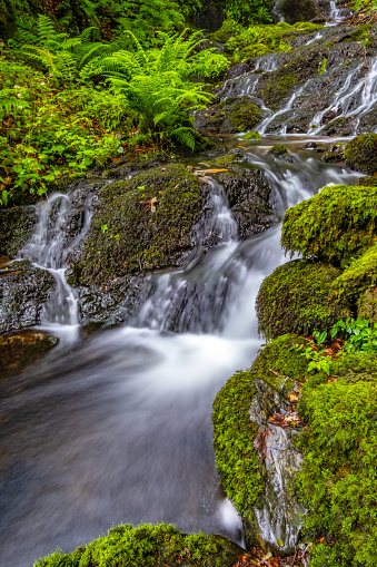 Waterfall flowing through moss covered rocks and green foliage in the English Lake District.