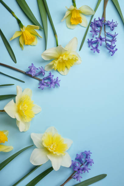 istock Stylish spring flowers flat lay on blue background. 2132380428