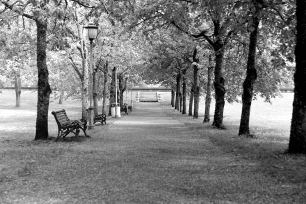 Monochrome, Blackandwhite,