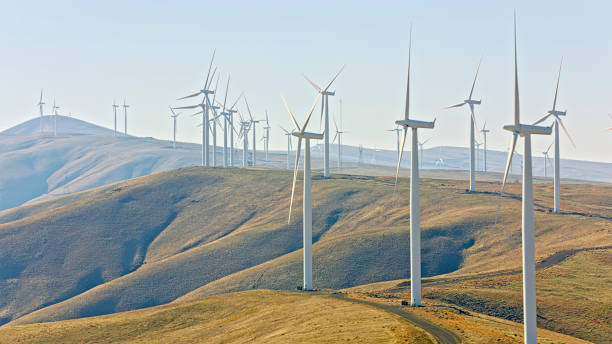 istock Wind turbine on windmill farm during sunny day 2132417102