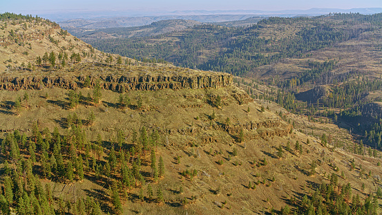 Aerial view of  Umatilla National Forest on sunny day in Oregon, USA