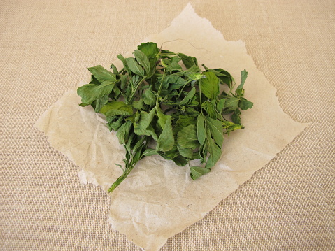 Dried alfalfa, lucern leaves on paper - Getrocknete Luzerne, Alfalfa Blätter auf Papier