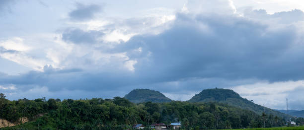 istock views of rice fields with a backdrop of mountains and trees 2132486734