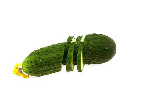 One cucumber isolated on a white background