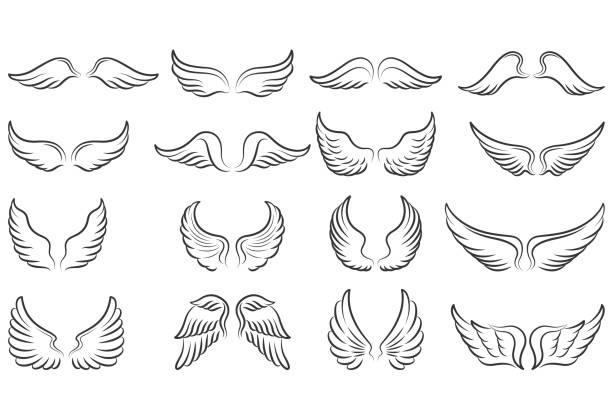 Wings icon set