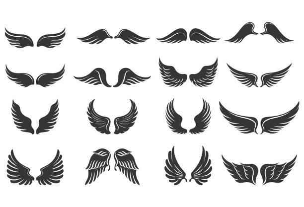 Wings vector illustration