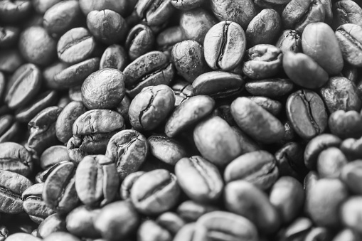 Arabica coffee beans are in the coffee machine