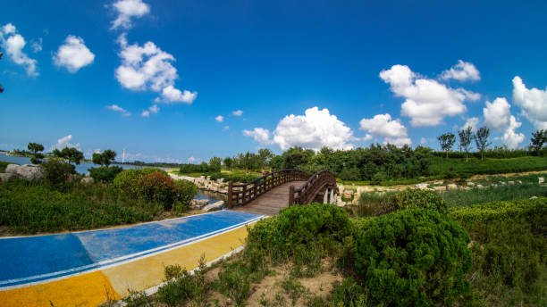 A beautiful scenery of a small wooden bridge in the park under the blue sky and white clouds.