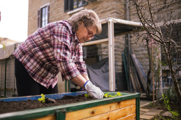 istock Active senior lady satisfied with her new gardening box 2132603512