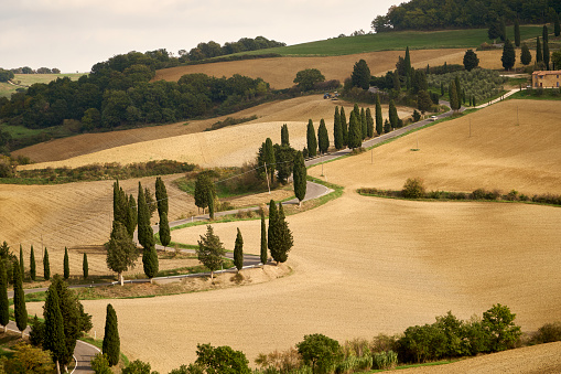 Typical Autumn Tuscan scenery with curved road and cypresses, Tuscany, Italy.