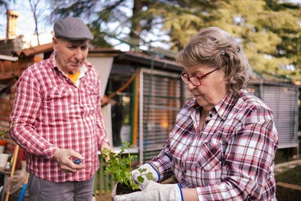 istock Just a pair of happy active seniors 2132604070
