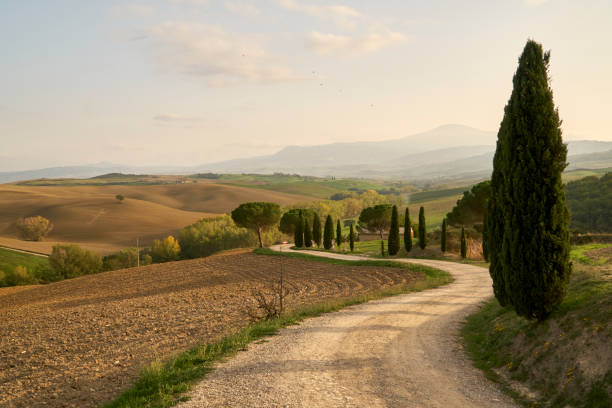 istock Tuscany landscape, Italy 2132604071