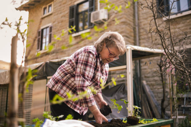 istock Active senior can now plant in an raised garden bed 2132605686