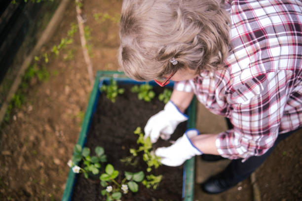 Gardening with floral gloves