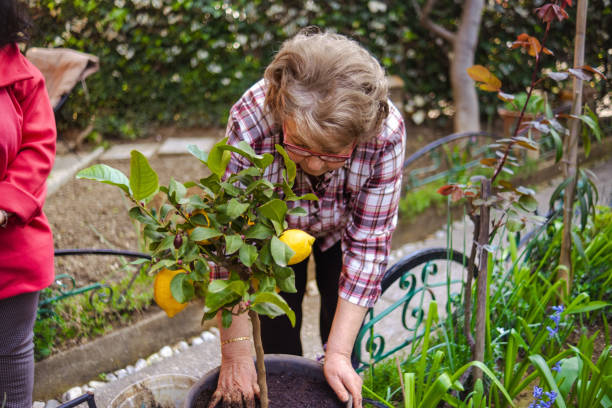 istock Happy Arbor day with active senior woman 2132608354