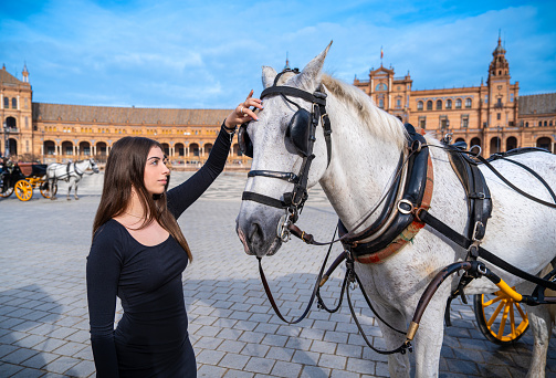 Brunette young woman tourist caresses a horse in Seville Plaza de Espana square in Andalusia of Spain