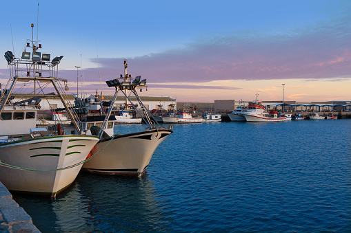 Barbate harbor dock with fisher boats in Cadiz of Andalusia in Spain