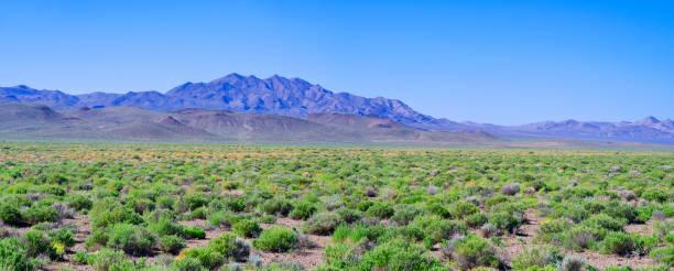 istock Nevada Desert Valley and Mountains along US 266 2132632347