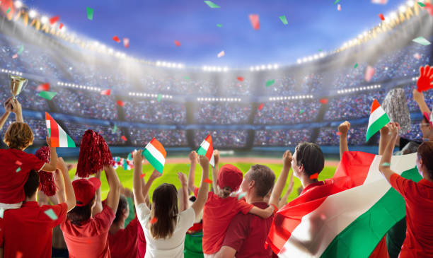 italian supporter at the stadium with italian flag