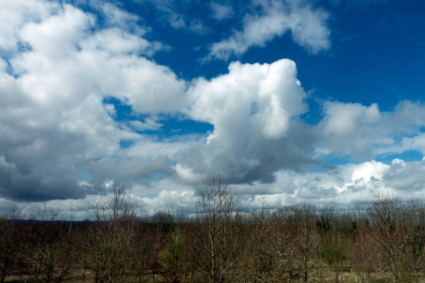 A Landscape with big heavy fluffy clouds on a blue background