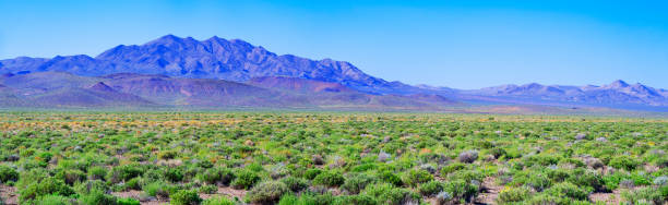 Nevada Desert Valley and Mountains along US 266