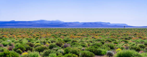 Nevada Desert Valley and Mountains along US 266