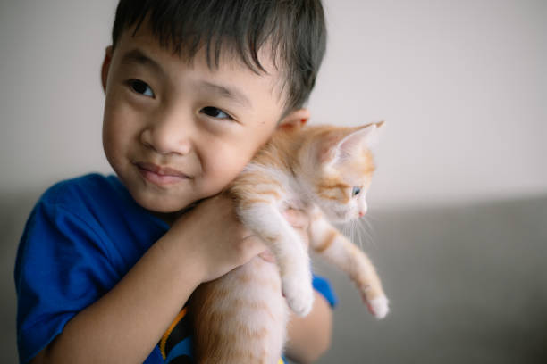 istock A young boy is holding a kitten in his arms 2132662153