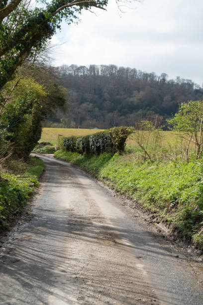 istock British Woodland Scenery Walk through a Walking Trail With Path 2132662158