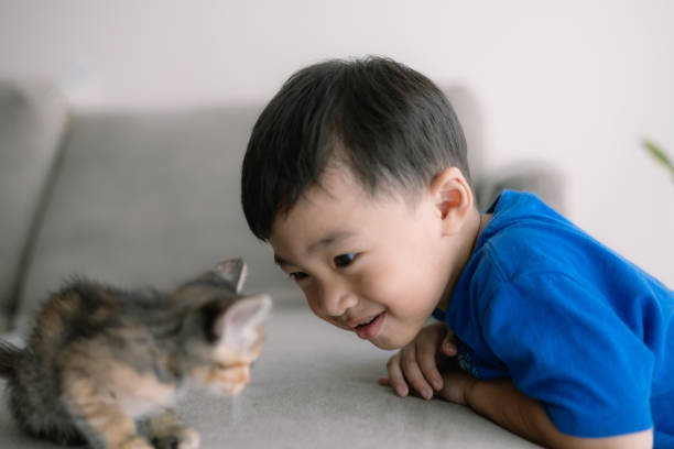 Small red-haired kitten is sitting on the knees of the boy owner, studio shooting