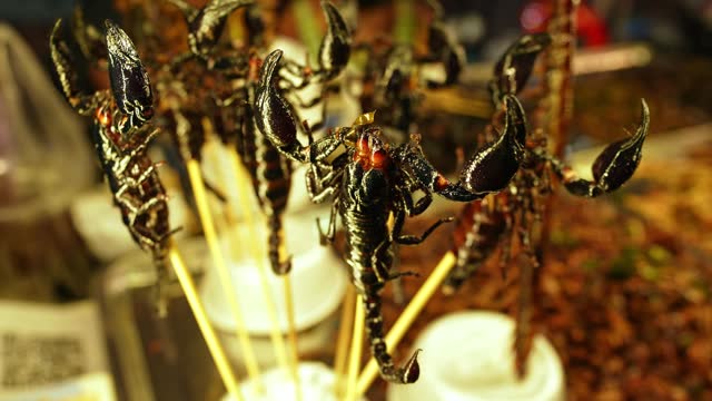 Roasted Scorpions On A Stick Being Sold On The Street Market In Bangkok In Thailand