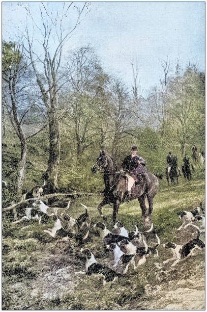 Antique painting illustration: Hunting