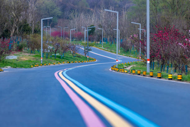 A colorful road leads to the distance, with spring scenery on both sides.