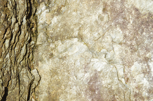 Horizontal photograph of brown gray gradient textured rough rustic tough rock uneven surface with natural grooves or patterns making a rustic background or backdrop