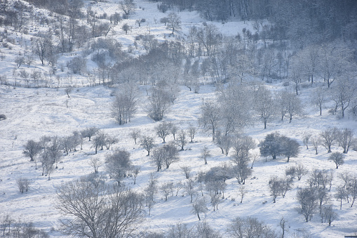 Natural hills with forest trees covered in snow. Freshly snowed mountains and hills with trees. High quality photo