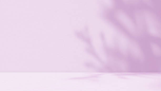istock Empty purple studio room for product presentation with shadow of tree leaves on the wall. 2132755276