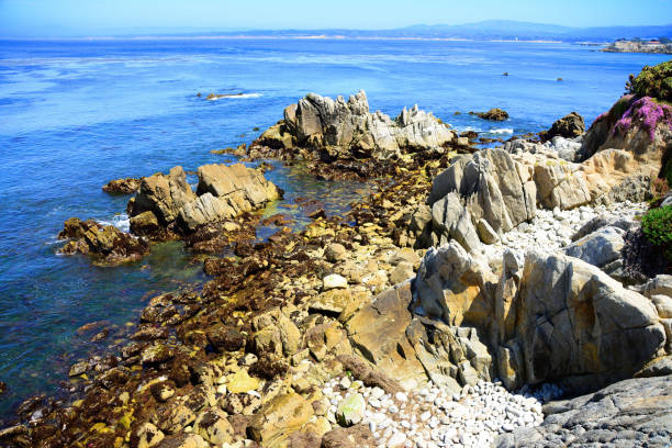 Surf breaking Asilomar State Marine Reserve Monterey Bay California