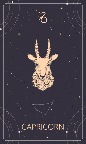 Zodiac constellation Capricorn. Social media template. Vertical banner. Zodiac constellation Capricorn. Social media template. Vertical banner. Tarot card, astrological illustration. capricorn zodiac stock illustrations