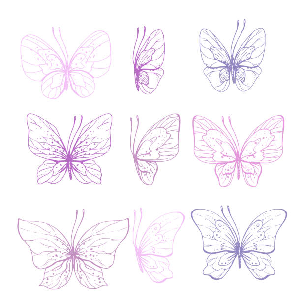Butterflies are pink, blue, lilac, flying, delicate line art, clip art. Graphic illustration hand drawn in pink, lilac ink. Set of isolated objects EPS vector. Butterflies are pink, blue, lilac, flying, delicate line art, clip art. Graphic illustration hand drawn in pink, lilac ink. Set of isolated objects EPS vector simple butterfly outline pictures stock illustrations