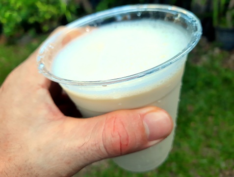 Hand holding Soy Milk in Plastic Cup - green background.