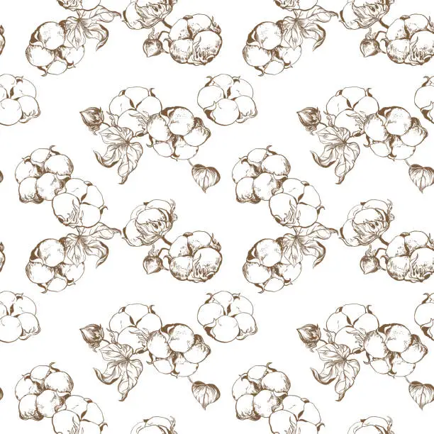 Vector illustration of Vector, seamless, black and white pattern of cotton flowers. Botanical illustration using engraving technique. Cotton branches with leaves are drawn with ink. Illustration suitable for fabric, textile