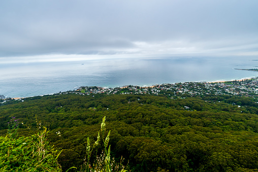 Coastal city view from a hill top. Lush green vegetation in the foreground. Mist and fog across the top of the image.