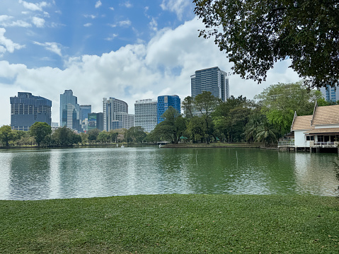 Stock photo showing view of skyscrapers seen from across lake in Lumpini Park.