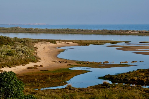 The Ria Formosa is the most important wetland in southern Portugal.