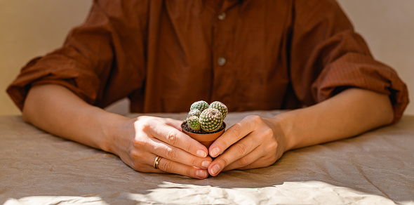 Young woman holding pot with small cactus at table with sunlight