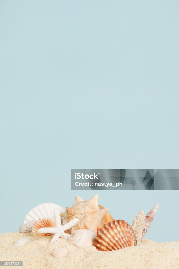 Shell Beachy Background Shells On Sandy Beach Vertical Blue Background With Copy Space Stock ...