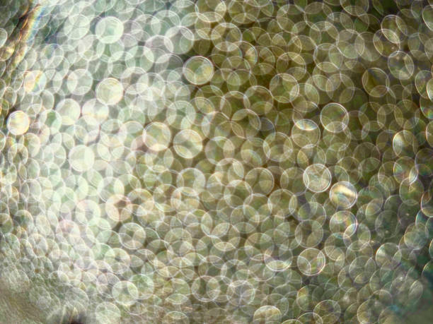 istock A blurry image of many small circles 2132901786