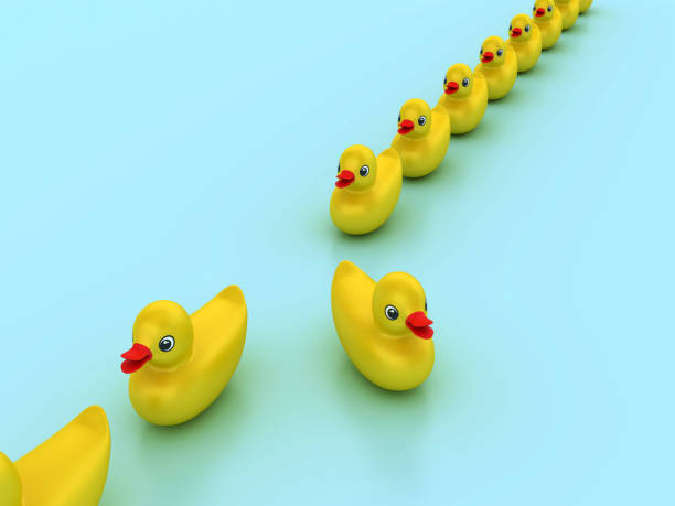 istock 3D Duck one Moving out of Line 2132953380